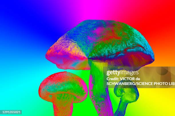 bildbanksillustrationer, clip art samt tecknat material och ikoner med magic mushrooms - psykedelisk