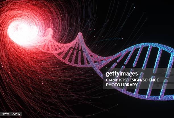 dna research, conceptual illustration - helix model stock illustrations