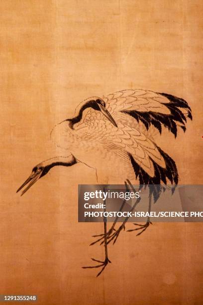 painting of cranes - traditional japanese painting stock pictures, royalty-free photos & images