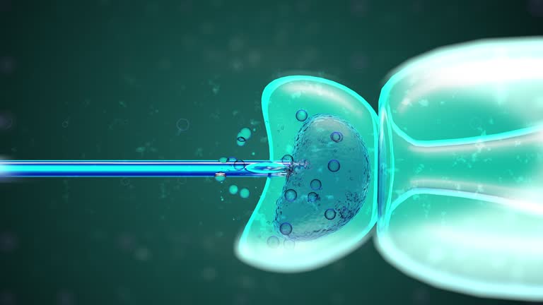 Dbp Animation 3D Animation of a DNA filled liquid being injected into an egg cell ...