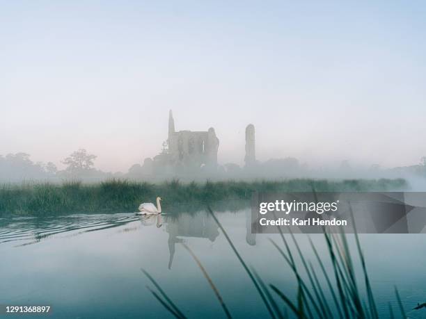 the ruins of newark abbey reflected in a stream, surrey - stock photo - royal parks stock pictures, royalty-free photos & images