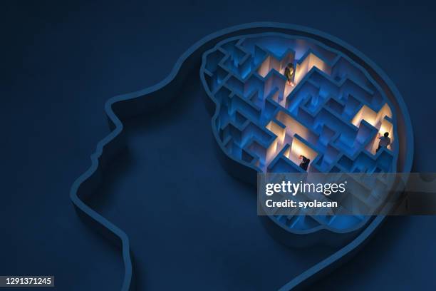 seeking solutions in the human brain - head of policy stock pictures, royalty-free photos & images