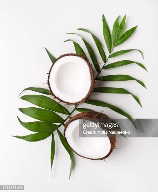 coconuts on a white background. - broken coconut pieces stock pictures, royalty-free photos & images