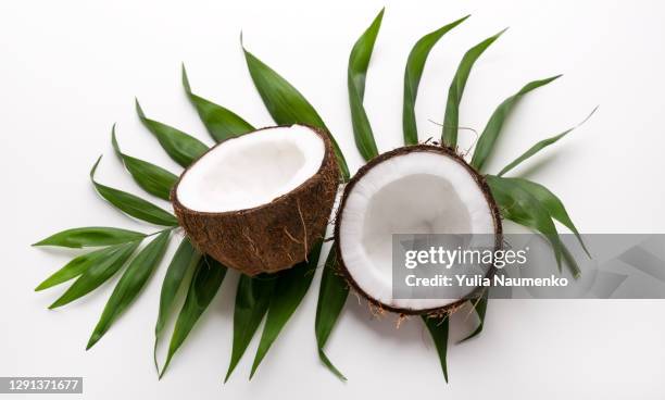 coconuts on a white background. - coconut white background stockfoto's en -beelden