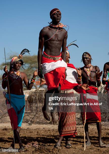 Samburu tribe warriors jumping during a ceremony, Samburu County, Maralal, Kenya on July 8, 2009 in Maralal, Kenya.
