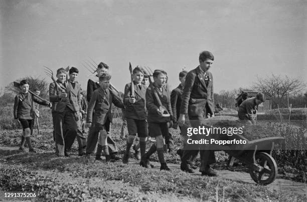 Group of school boys from a young farmers club, armed with spades, forks and a wheelbarrow, form a Dig for Victory brigade to work on allotments...