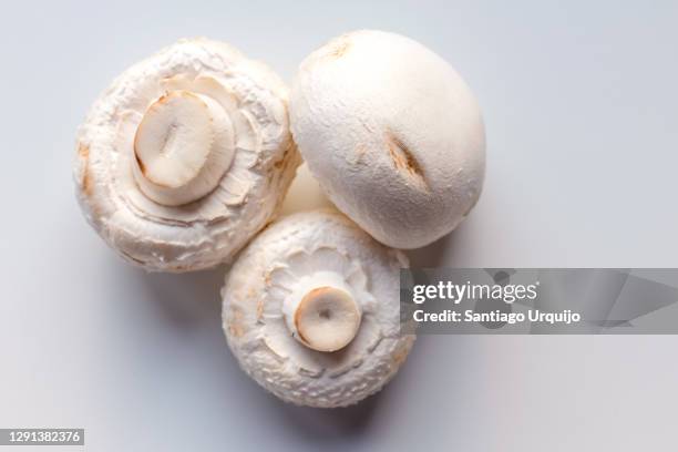 close-up of white mushrooms - white mushroom stock pictures, royalty-free photos & images