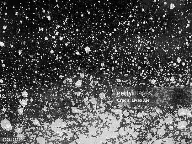 white particles splashing - powder snow fotografías e imágenes de stock