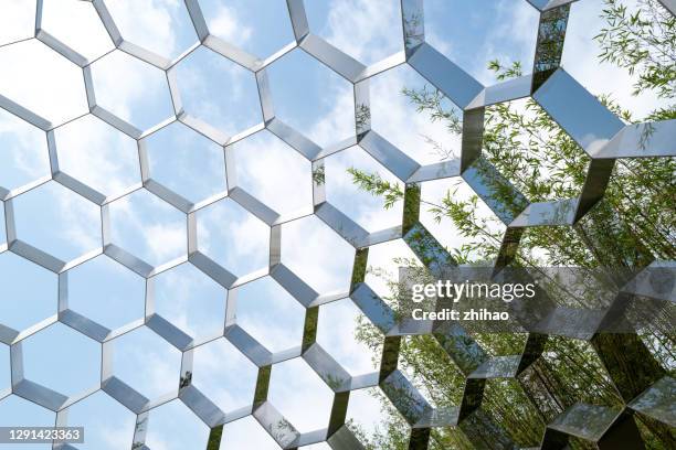 honeycomb and blue sky bamboo forest - metallindustrie stock-fotos und bilder