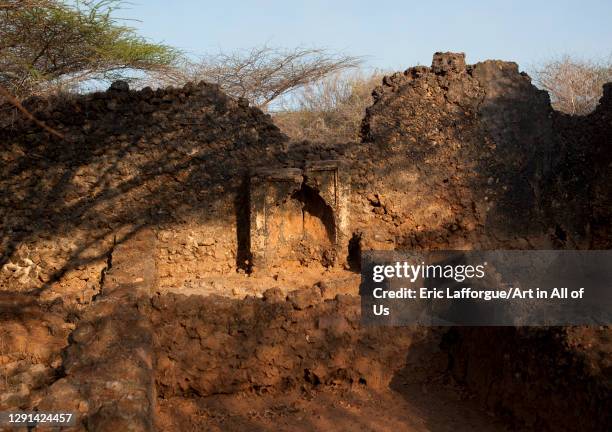 Photo Manda Manda National Park Photos and Premium High Res Pictures - Getty Images