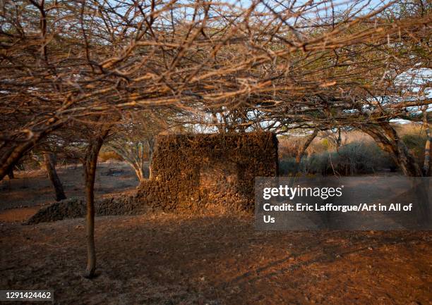 Photo Manda 37 Manda National Park Stock Photos, High-Res Pictures, and Images ...