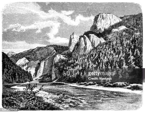 breakthrough of the dunajec river gorge through the pieniny mountains - unesco - canyon stock illustrations