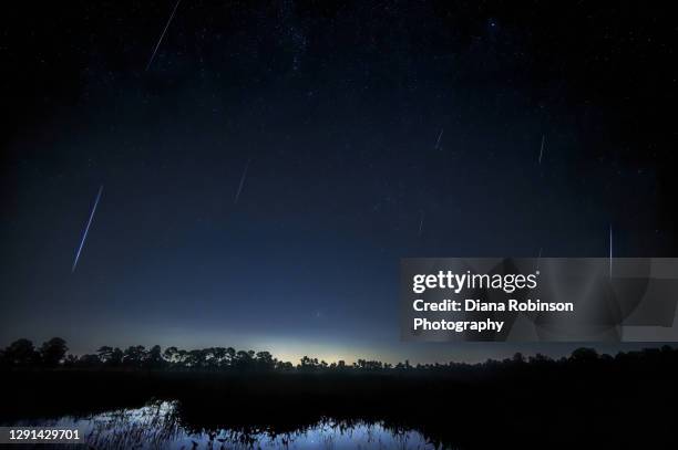 Meteor Management 3,318 C Webb Stock Photos, High-Res Pictures, and Images - Getty Images