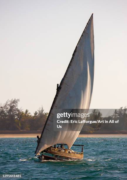 Dhow sailing along the coast, Lamu County, Lamu, Kenya on February 26, 2011 in Lamu, Kenya.