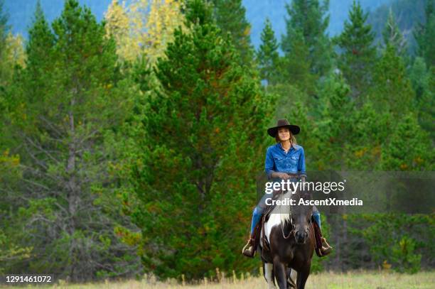 woman riding her horse at a ranch - western canada farm stock pictures, royalty-free photos & images