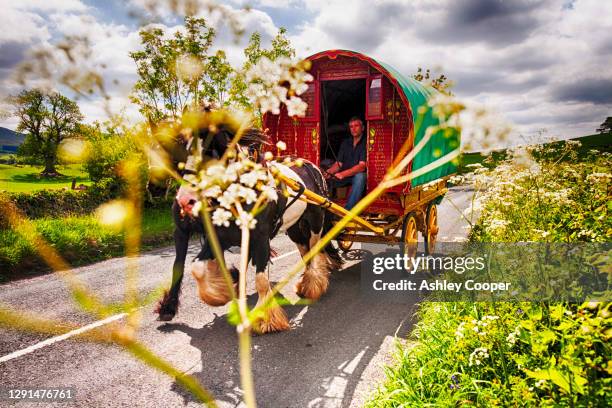 gypsey's travelling towards the appleby horse fair, near kirkby lonsdale, cumbria, uk. - caravan uk photos et images de collection