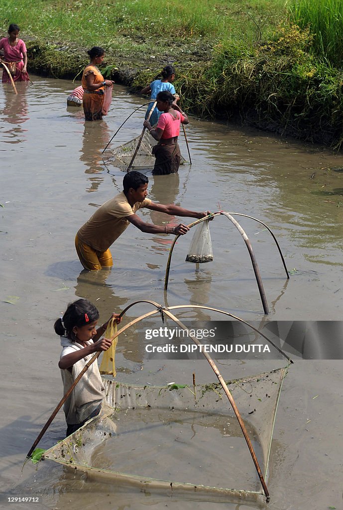 Indian villagers use handmade fishing nets in a pond in Naxalbari News  Photo - Getty Images
