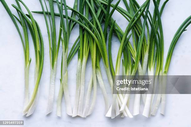 fresh organic green onions - cebolla de primavera fotografías e imágenes de stock