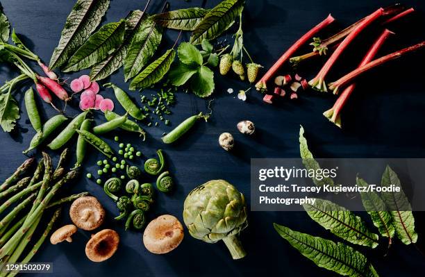 fresh spring vegetables - pflanzliche ernährung stock-fotos und bilder