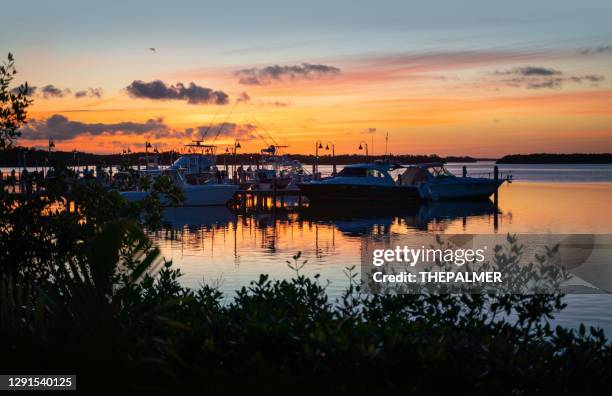 Key Largo Sunset Key Largo Sunset Photos and Premium High Res Pictures - Getty Images