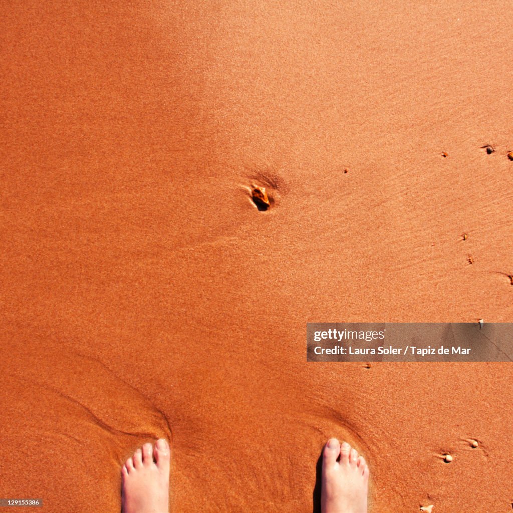 Human feet on wet sand