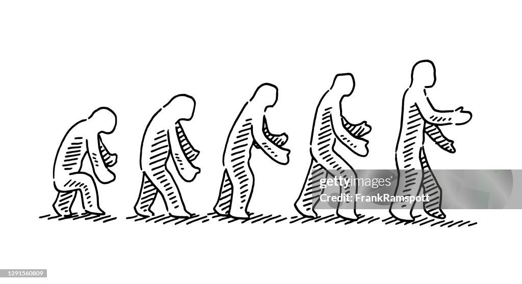 Dibujo Del Concepto De Evolución Humana Ilustración de stock - Getty Images