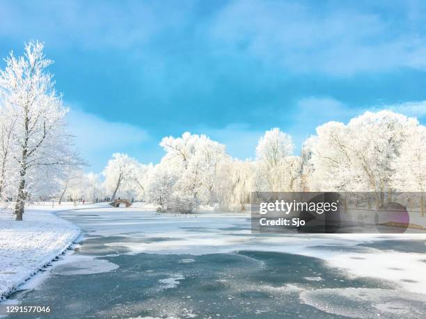 オランダ、カンペン市公園の雪の多い冬の風景 - ヘルダース・アイセル川 ストックフォトと画像