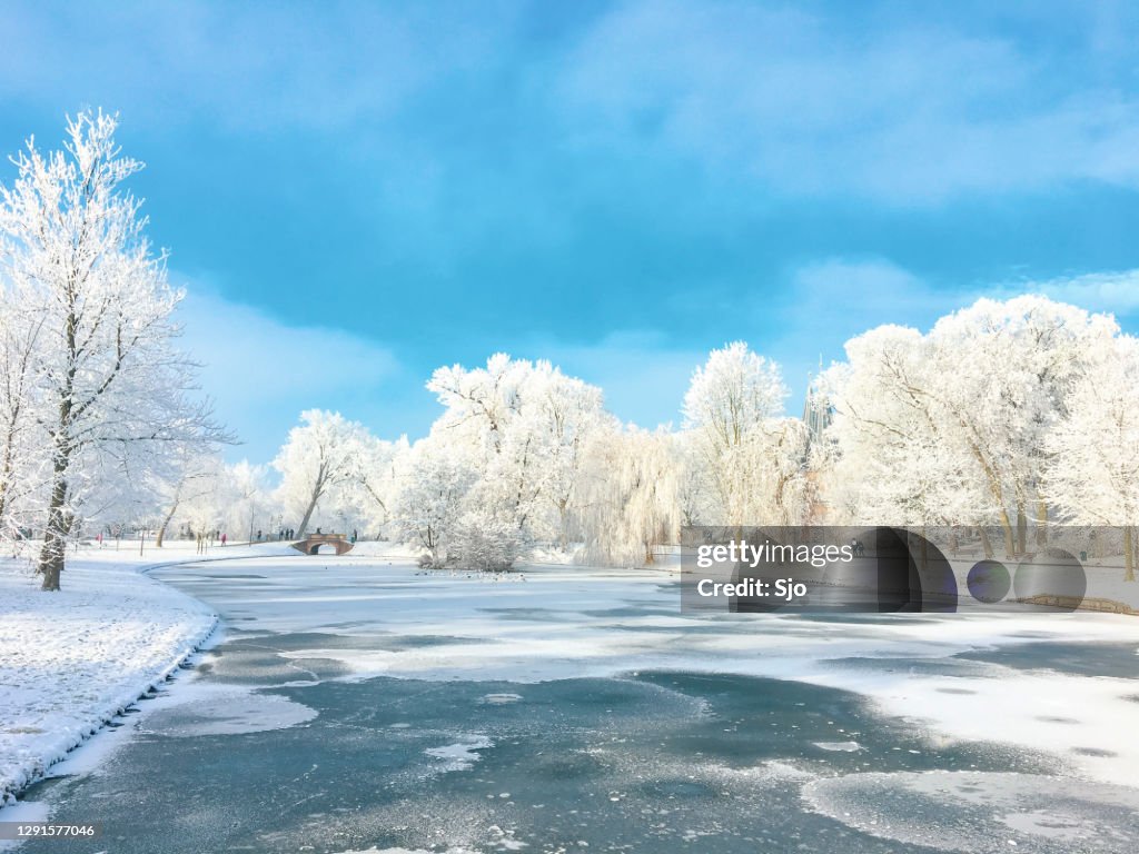 Snowy wintry landscape in the city park of Kampen, The Netherlands