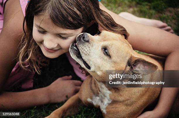 girl with dog staffordshire bull terrier - manitoulin stock pictures, royalty-free photos & images