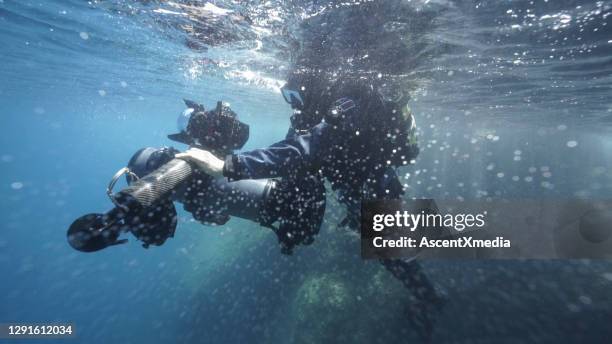 mergulhador explora o mar com câmera de filme subaquática - underwater film camera - fotografias e filmes do acervo