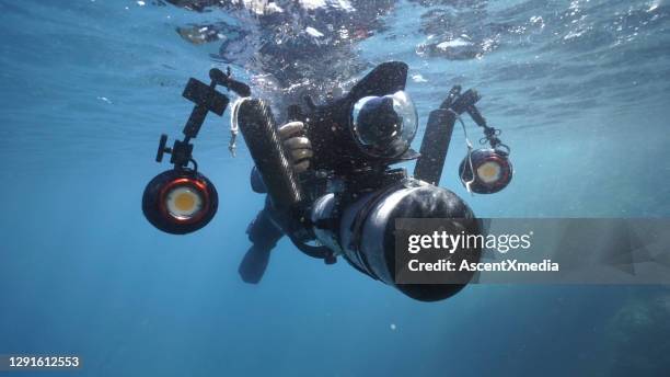 mergulhador explora o mar com câmera de filme subaquática - underwater film camera - fotografias e filmes do acervo