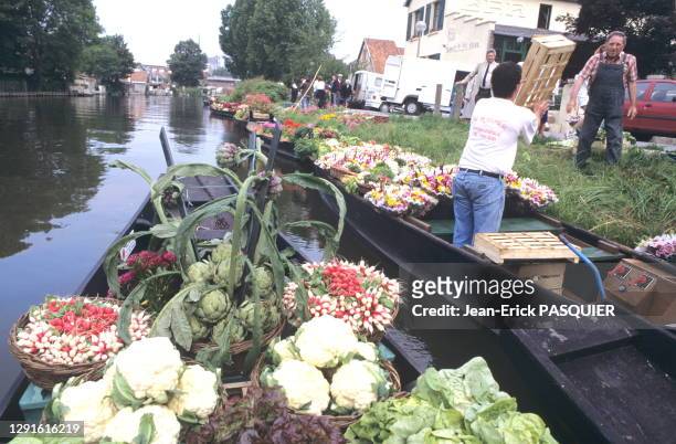 Situés au cœur d'Amiens, sur 300 hectares, les Hortillonnages constituent une mosaïque de jardins flottants entourés de canaux , maraîchers ou...