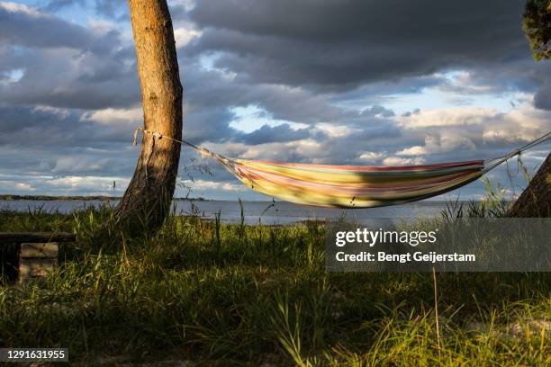 rest - hammock no people stock pictures, royalty-free photos & images