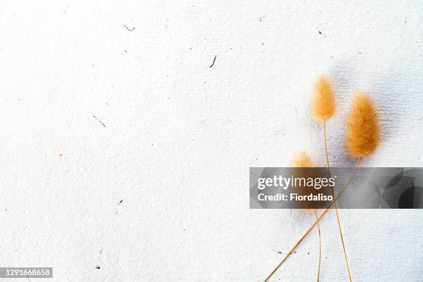 abstract paper background - handmade paper stock pictures, royalty-free photos & images