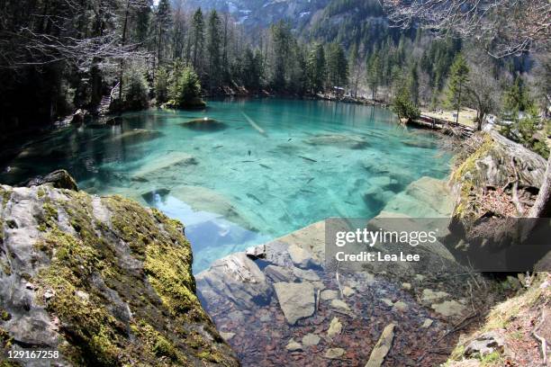 blausee - blausee stock-fotos und bilder