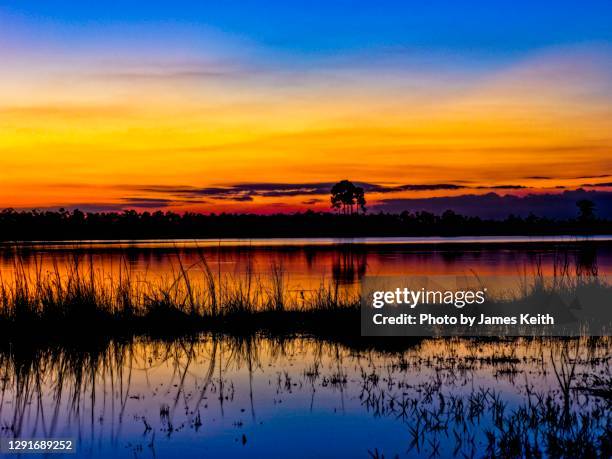 a colorful sunset in the florida everglades. - cielo romantico foto e immagini stock