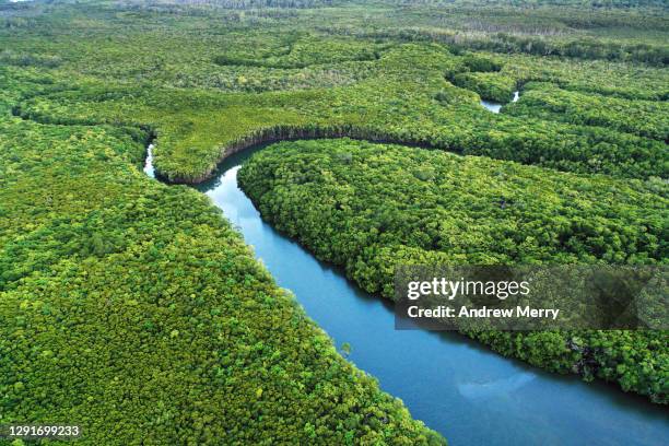 winding blue river, green forest, close up, aerial view - queensland rainforest stock pictures, royalty-free photos & images