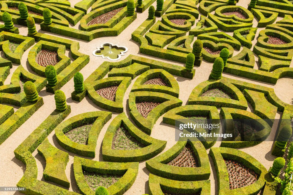 Formal gardens, Chateau of Villandry, Indre et Loire, Loire Valley, France