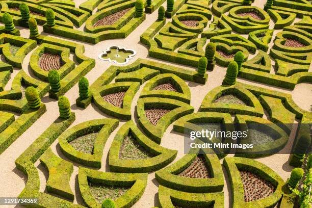 formal gardens, chateau of villandry, indre et loire, loire valley, france - castle stockfoto's en -beelden