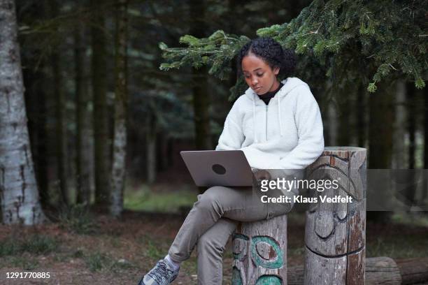 woman using laptop while sitting on log in forest - african totem poles stock pictures, royalty-free photos & images