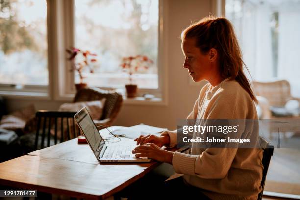 One Person Laptop Home Sunset Photos and Premium High Res Pictures ...