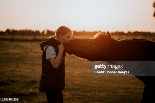 girl with pony on meadow - pony paard stockfoto's en -beelden