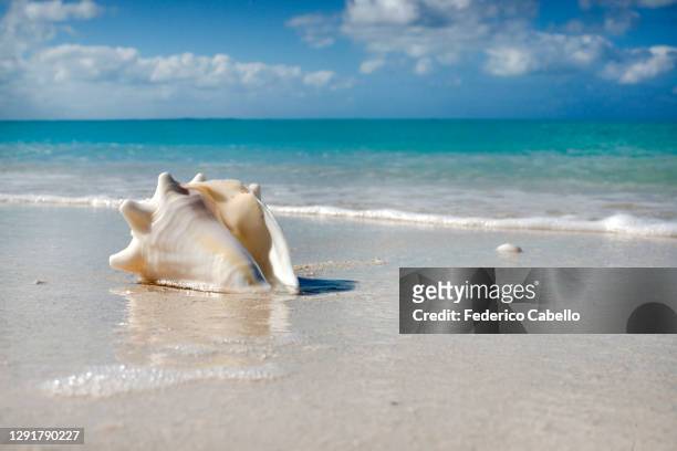 leeward beach. providenciales - turks and caicos islands stock pictures, royalty-free photos & images