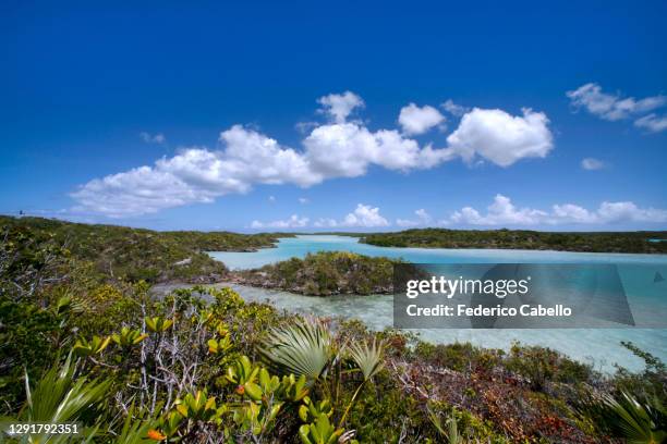 chalk sound national park - providenciales stock pictures, royalty-free photos & images