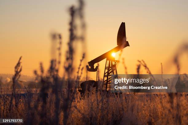 oil pumping jack - pump jack stock pictures, royalty-free photos & images