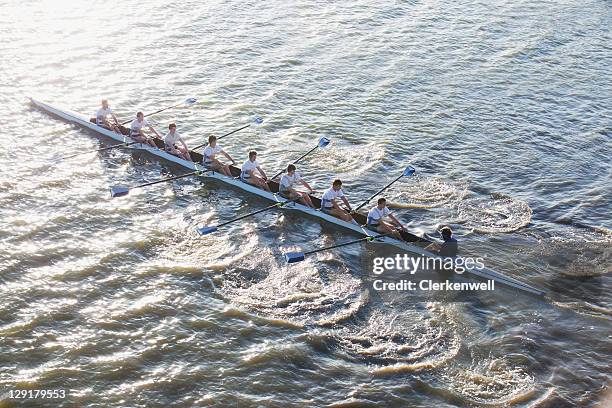 people in long canoe oaring - rudern stock pictures, royalty-free photos & images