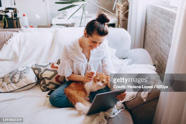 woman sitting at home with pet cat,using digital tablet,belo horizonte,state of minas gerais,brazil - cat woman stock pictures, royalty-free photos & images