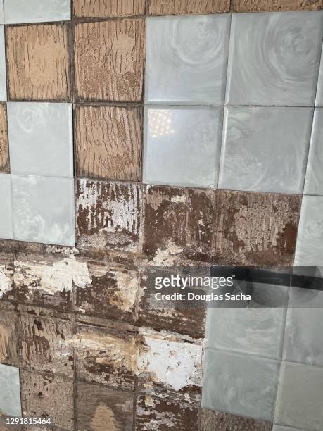 missing bathroom wall tiles in an abandoned house - rohbau haus stock-fotos und bilder