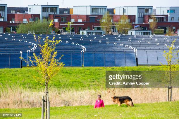 solar thermal panels which provides hot water for the residents of sun island in almere, netherlands. - almere stockfoto's en -beelden