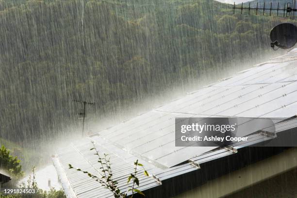 Backlit Rain Sun Roof House Photos and Premium High Res Pictures - Getty Images